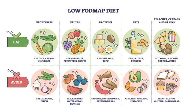 رژیم FODMAP؛ تغذیه موثر برای کنترل علائم سندروم روده تحریک‌پذیر